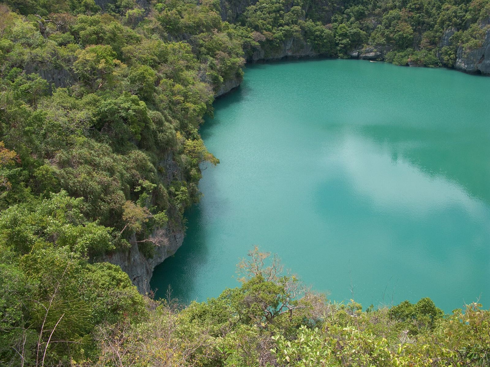 Green lagoon water enclosed by limestone cliffs and jungle on an island in Mu Ko Ang Thong National Park
