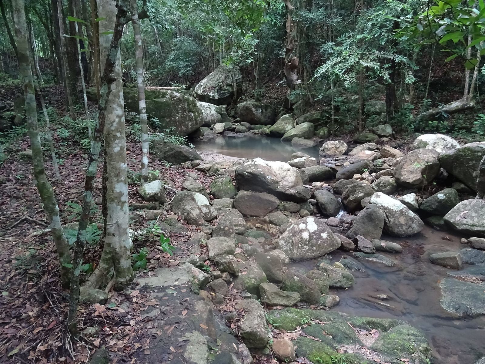 Water tumbling over granite boulders at Phaeng Waterfall in the jungle of Than Sadet–Ko Pha-ngan National Park, Koh Phangan