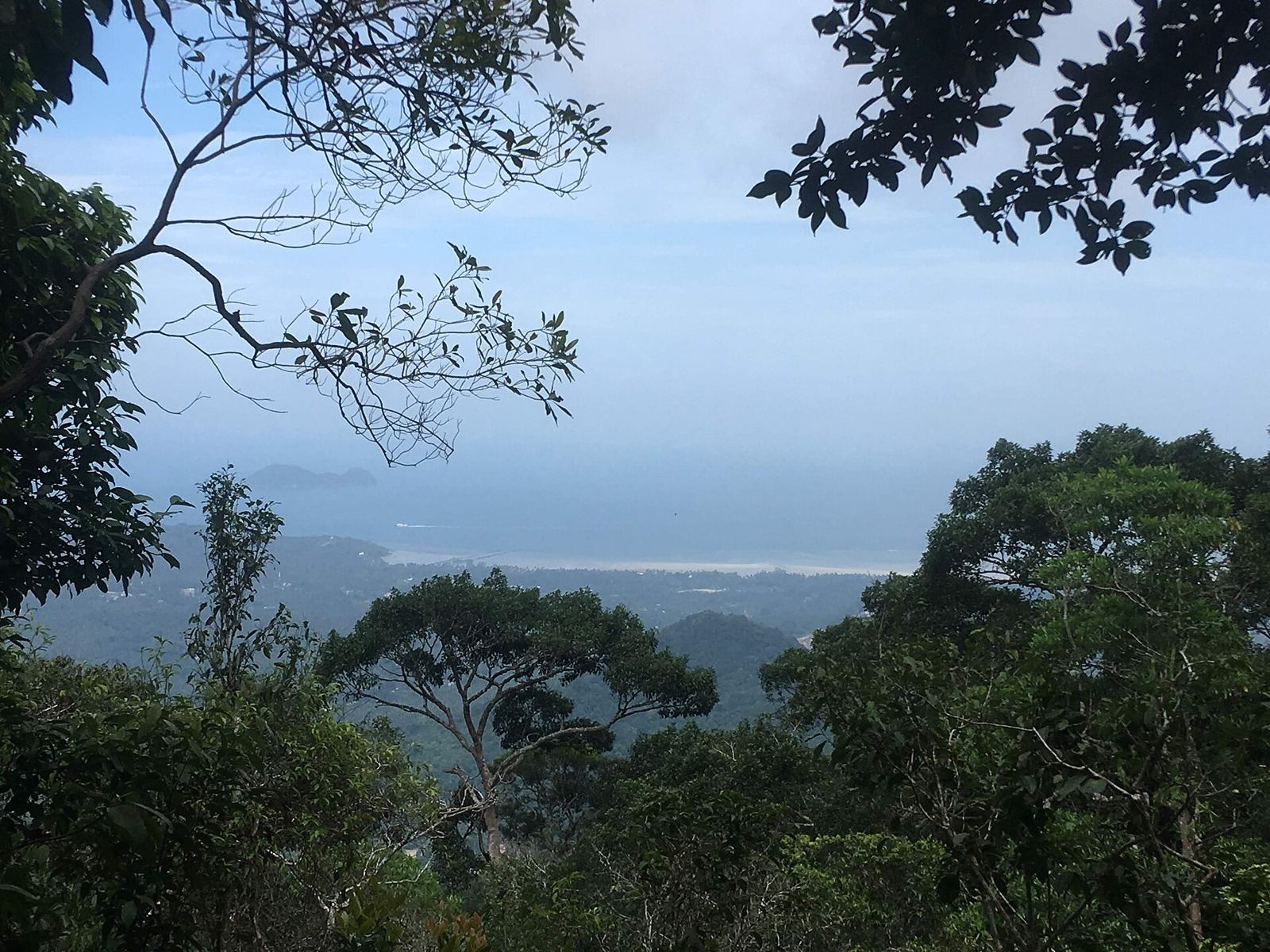 View through jungle trees down to Wok Tum bay on Koh Phangan's west coast, seen from the hills above
